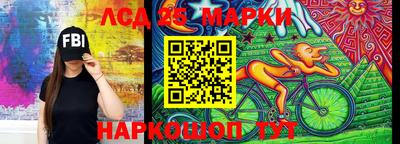амф Камень-на-Оби