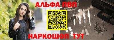 амф Камень-на-Оби