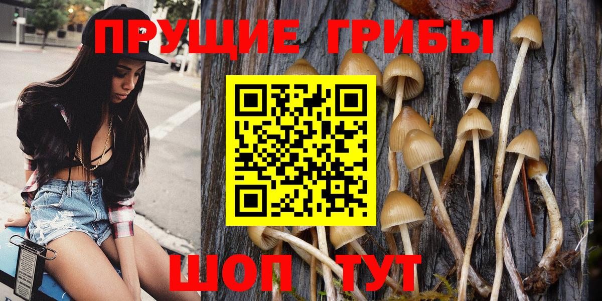 Псилоцибиновые грибы GOLDEN TEACHER  Вход с VPN  Мценск 