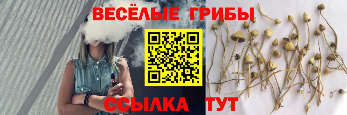 Галлюциногенные грибы прущие грибы Мценск