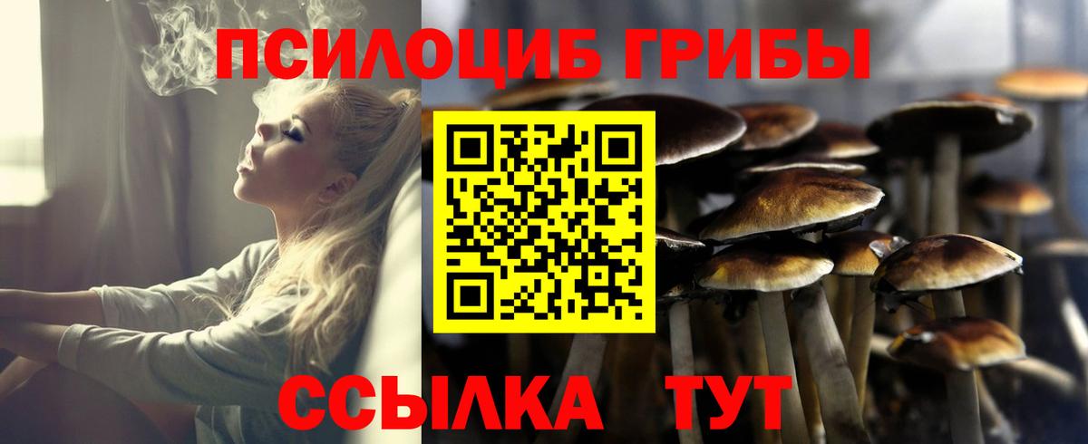 Бошки Шишки  Мценск  ЭКСТАЗИ  Как найти наркотики?  ГАШИШ  МЕФ кристаллы  Вход с VPN  Кокаин 